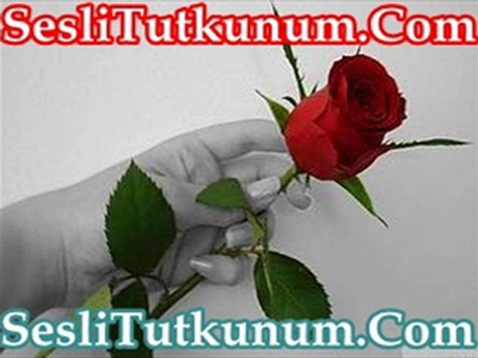 Youtube,Sesli Chat,Sesli Sohbet,SesliTutkunum.Com,Sesli Chat,Sesli Sohbet,