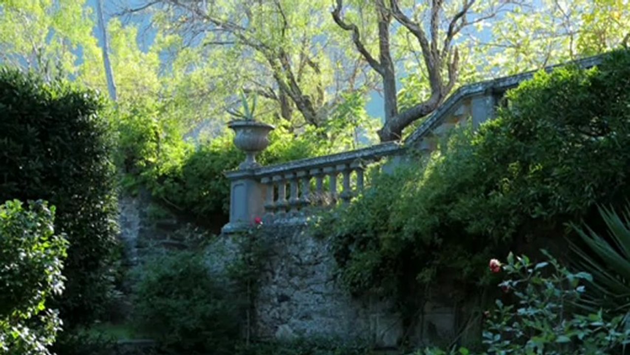 Made in Corsica