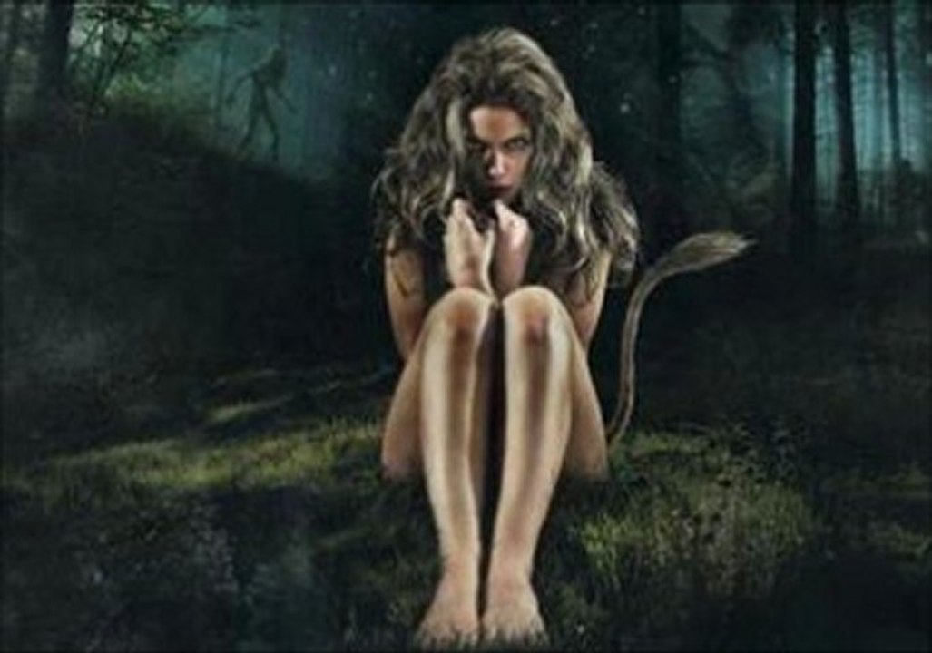 Bigfoot The Lost Coast Tapes (2012) online watch www.hdmoviespool.com