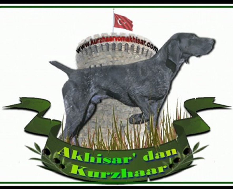 Kütahya mera yarışması