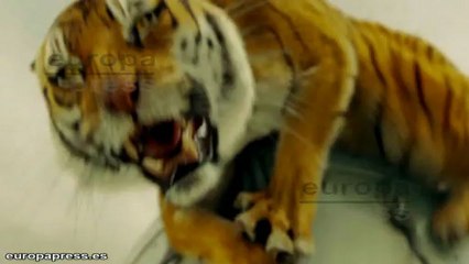 Bardem, mejor actor de reparto en los Satellite Awards