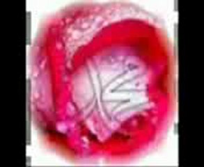 DoguPanel DEN Alahın İsimleri İbret Alın