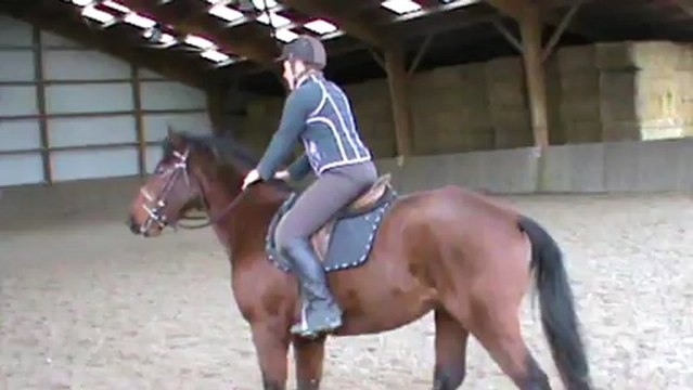 Première séance débourrage au trot Abaco