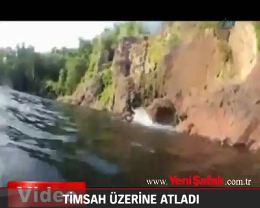 Timsah üzerine atladı