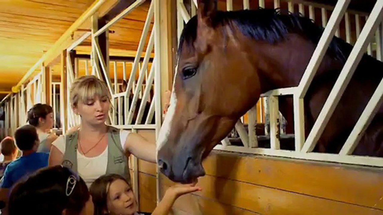 Сохранить конно-спортивный клуб