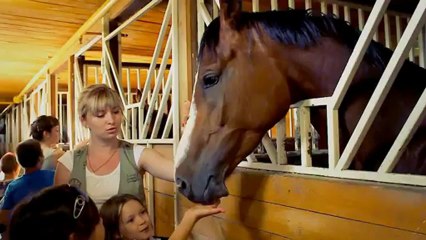 Сохранить конно-спортивный клуб