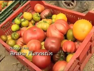 Bio-attitude sans béatitude