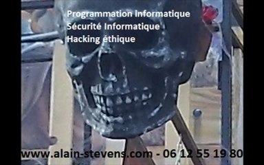 Comment protéger sa réputation sur Internet - Alain STEVENS - Vigifraude - Diffamation