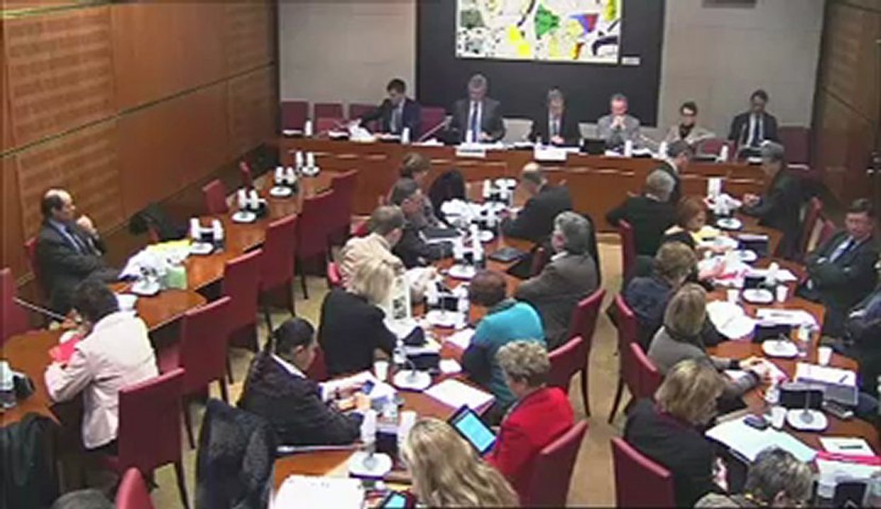 Commission des affaires culturelles  PPL visant à créer une médaille d'honneur du bénévolat