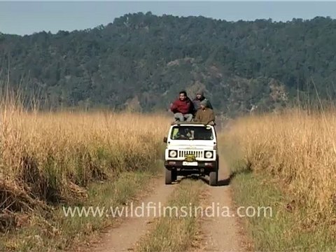 1034.Jeep safari at Corbett National Park .mov