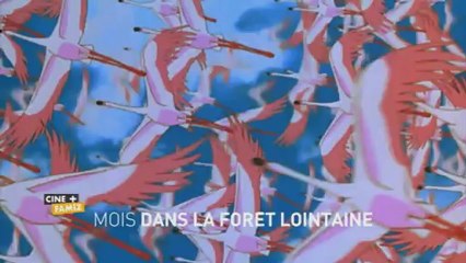 BA Ciné+ Famiz - Mois Dans La Forêt Lointaine - 2013