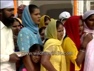 1038.Golden temple in India .mp4