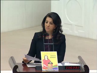 Mv. Selma Irmak Meclis'te