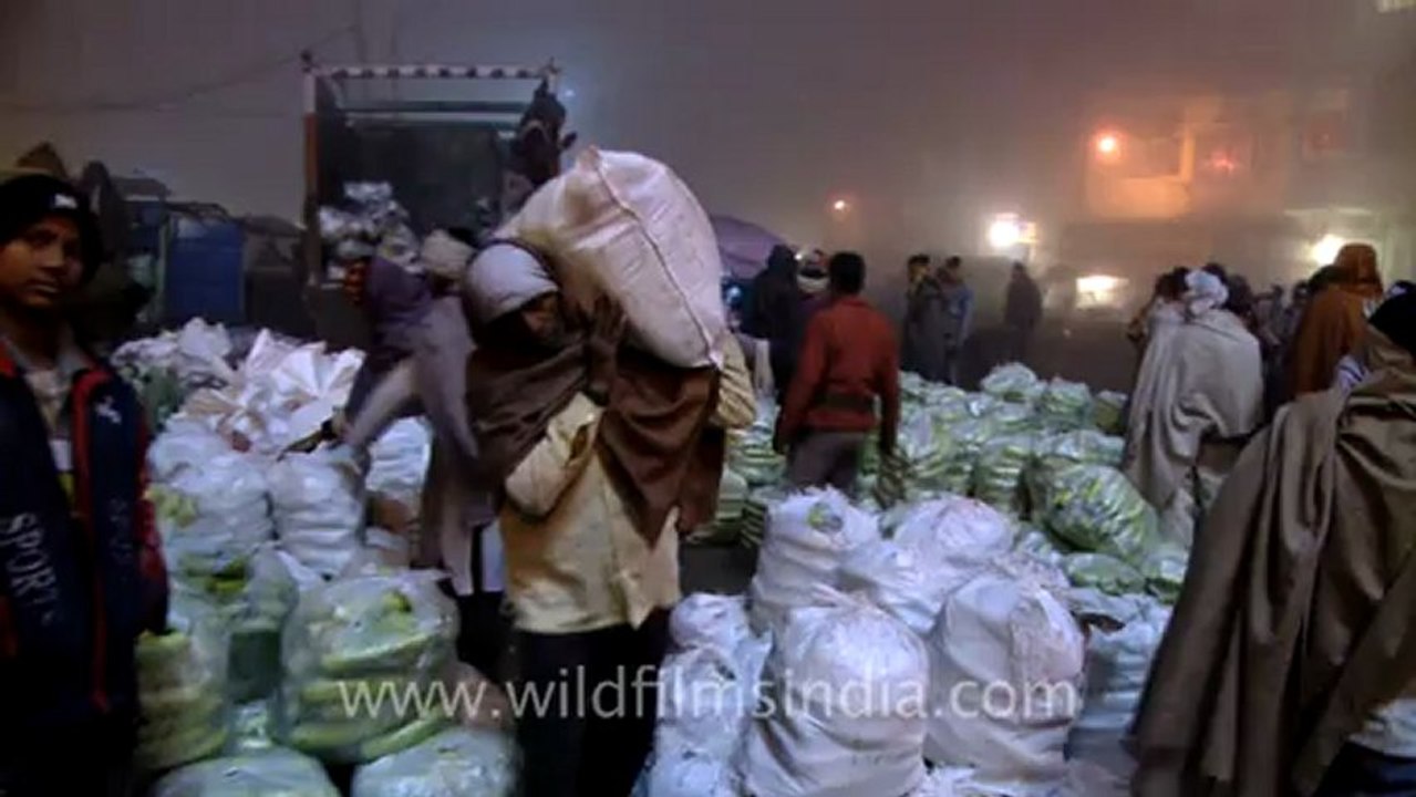 1124.Loading of Vegetables at Azadpur Sabzi Mandir, New Delhi.mov