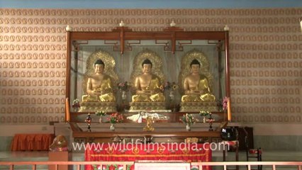 1140.Chinese and Tibetan Monastery in Bodh Gaya.mov
