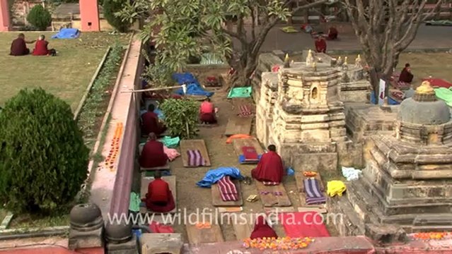 1141.Monks in Mahabodhi Temple.mov