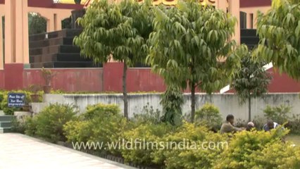 1148.Tibetan Monastry, Bihar.mov