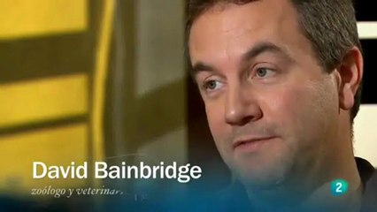 La adolescencia nos hizo humanos: David Bainbridge