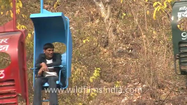 1162.People enjoying trolley ride in Rajgir.mov