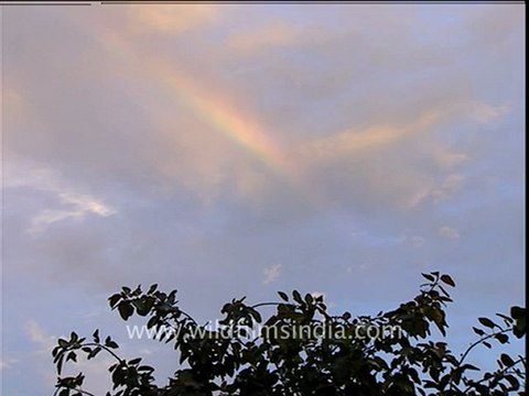 1184.Rainbow at wilderness films.mov