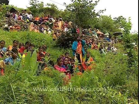 1196.Devotees in Nanda Devi Yatra.mov