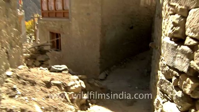 1247.Skating on Ice, Ladakh.mov