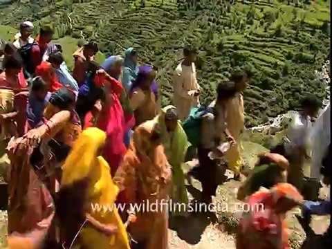 1341.Nanda Devi Yatra.mov