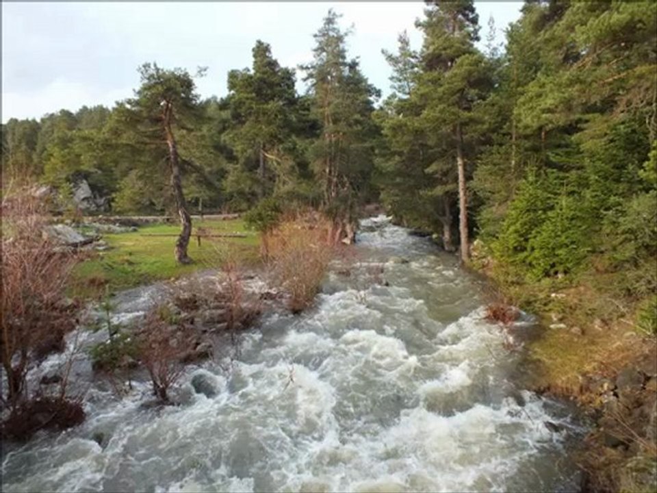 DÜDDÜRÜ DÜNYA