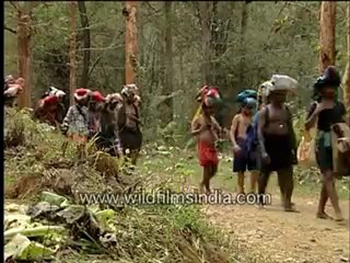 136. Pilgrims journey.mp4