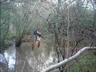 test pirelli scorpion