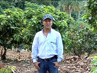 ICA Cacao Diciembre 17 de 2012 web