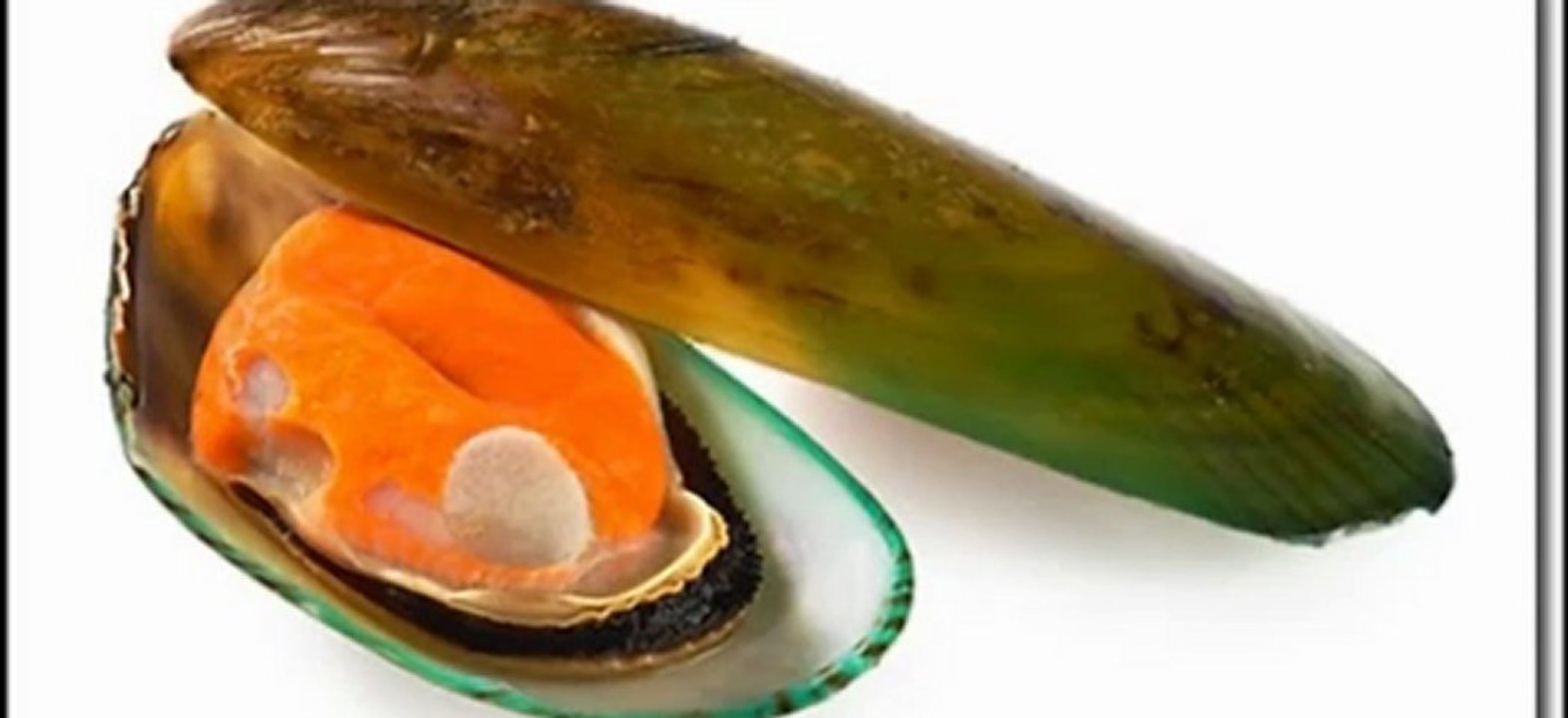 Allah tötet Muslime durch seine eigenen Korangebote - Islam