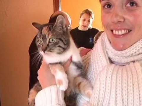 7 chats et 7 chiens adoptés ce week-end (Menois)