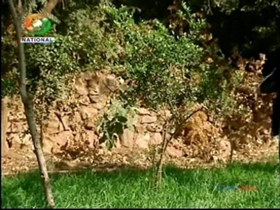 Yahan Ke Hum Sikandar 18 Dec2012=pt1