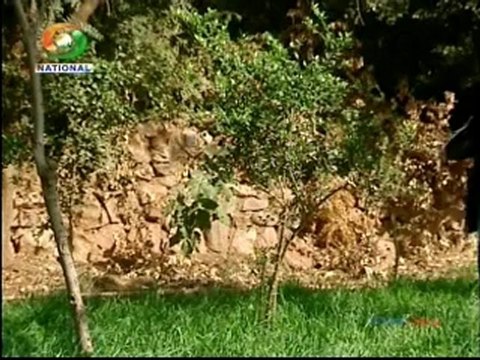 Yahan Ke Hum Sikandar 18 Dec2012=pt1