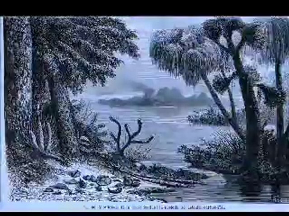 Ape Man Before the Flood
