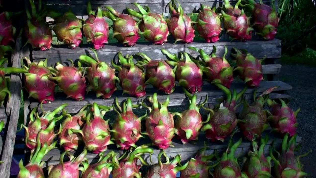 Partir Ailleurs 4 - Cambodge