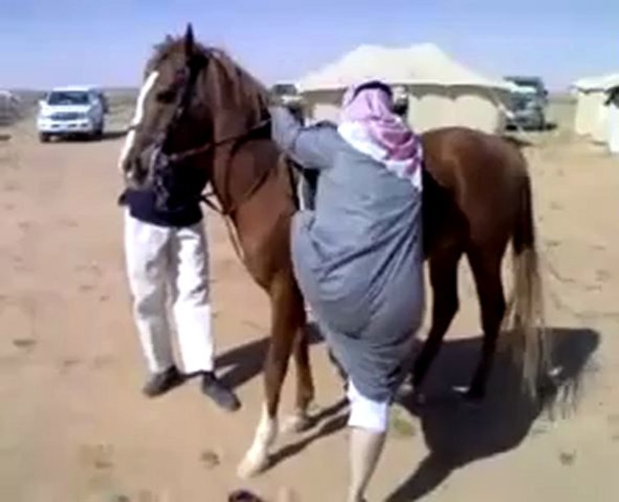 108529Funny Move45916
