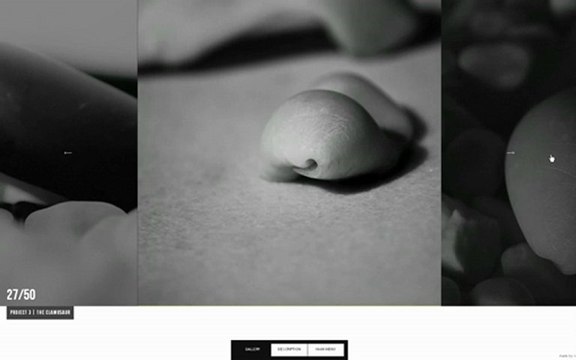 WebAuditor.eu » WebSite Advertising, Affiliate Consulting for Online Shopping