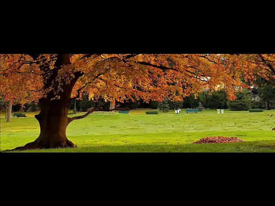 systeme, videos, diaporama, musique, de volcans, d'auvergne.