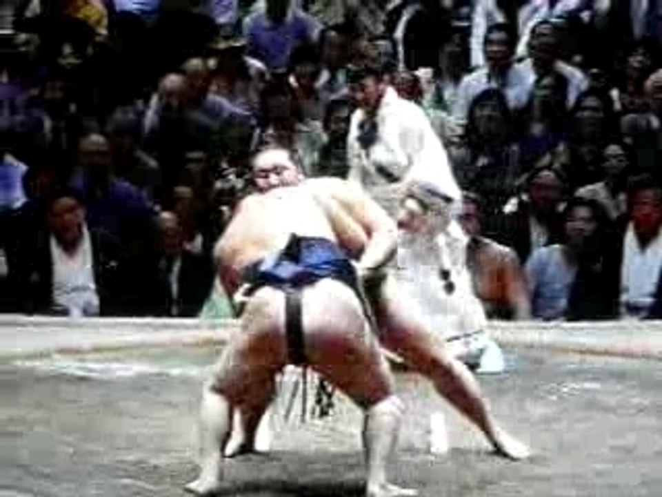 Combat sumo