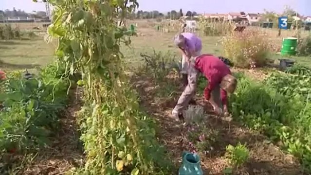 Jardins partagés 47