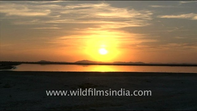 1617.Sunset over the salt pans of Sambhar Lake.mov