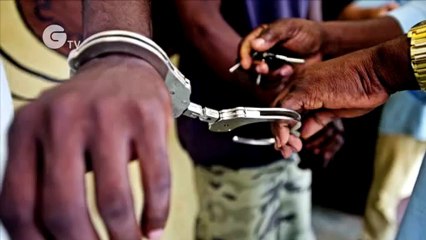 STOP IT - Stop the illegal trade in rhino horn and ivory