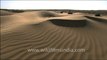 1538.Sam Sand dunes in Desert National Park, Jaisalmer, Rajasthan.mov