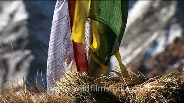 1561.Snowy Peaks of Ladakh.mov