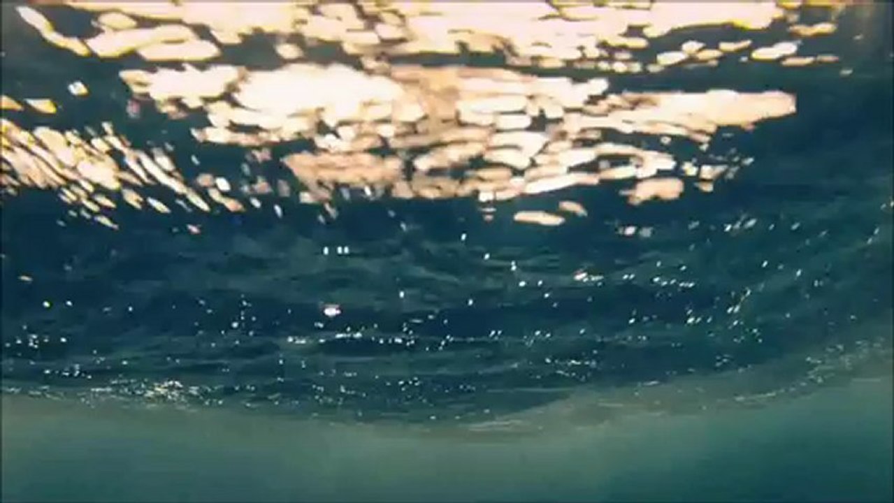 LIGHT DEEP SEA