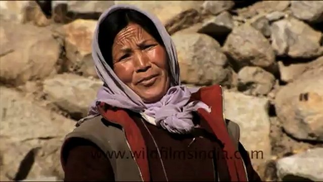 1575.Landscapes in Ladakhi Mountains.mov