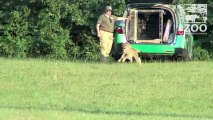 Zoo Cheetahs Getting Trained at Local Horse Racetrack