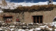 1593.Snow covered house in Ladakh.mov